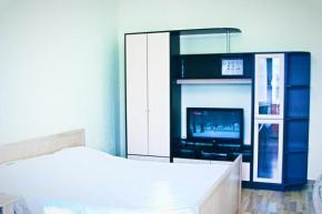 Apartment on Turgenevskoye 3a
